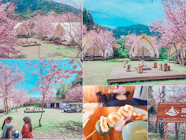 霧繞櫻花季｜新竹五峰鄉最美的賞花豪華露營區！白蘭部落一泊二食深度體驗