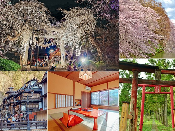 【山形賞櫻自由行】4天全程JR移動！令人滿意的溫泉與櫻花視覺饗宴